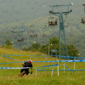 2013 Summer passes