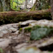Fall Colors Ride – Oct 12-13th 2013