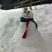If Only the Winter Months Were Longer