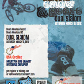 Dual Slalom Qualifier