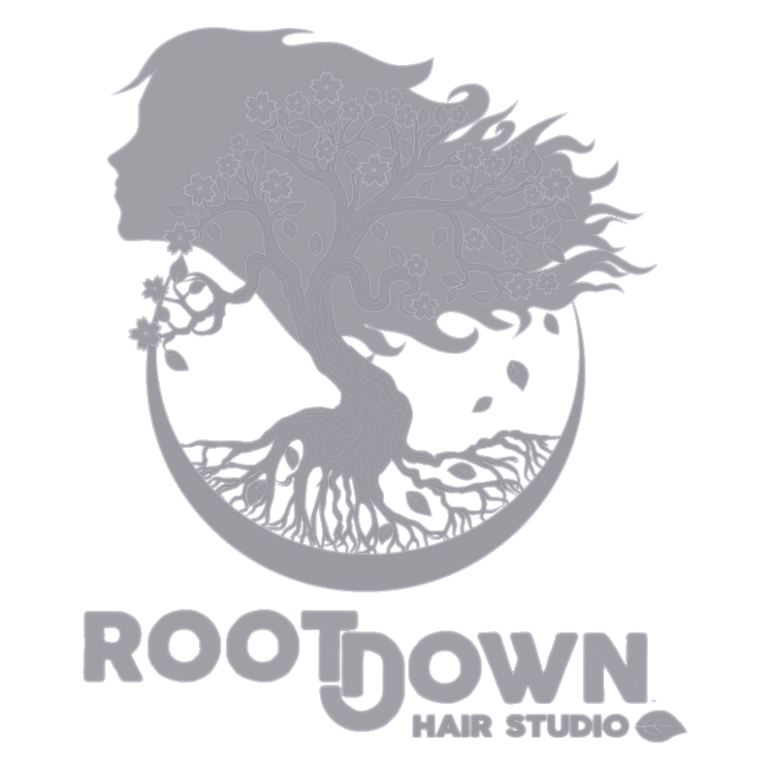 Pet Friendly Beech Mountain Resort