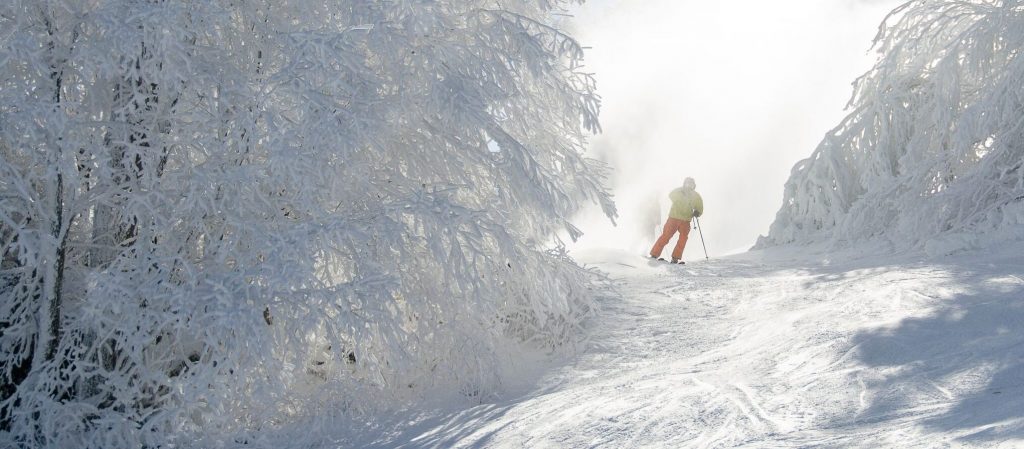 Cold Weather is Back! Tubing Opens Saturday!