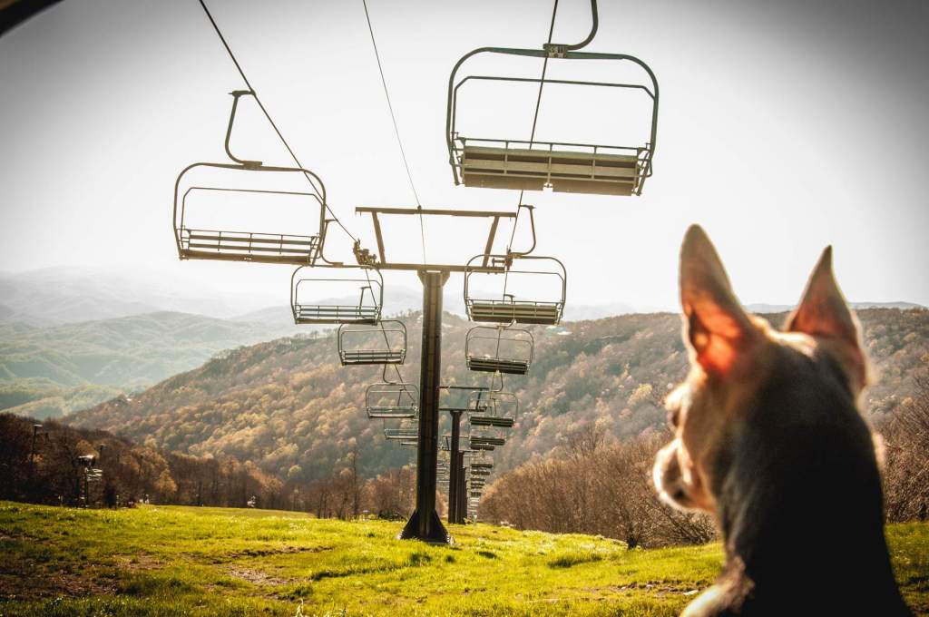 Late Season Discounts