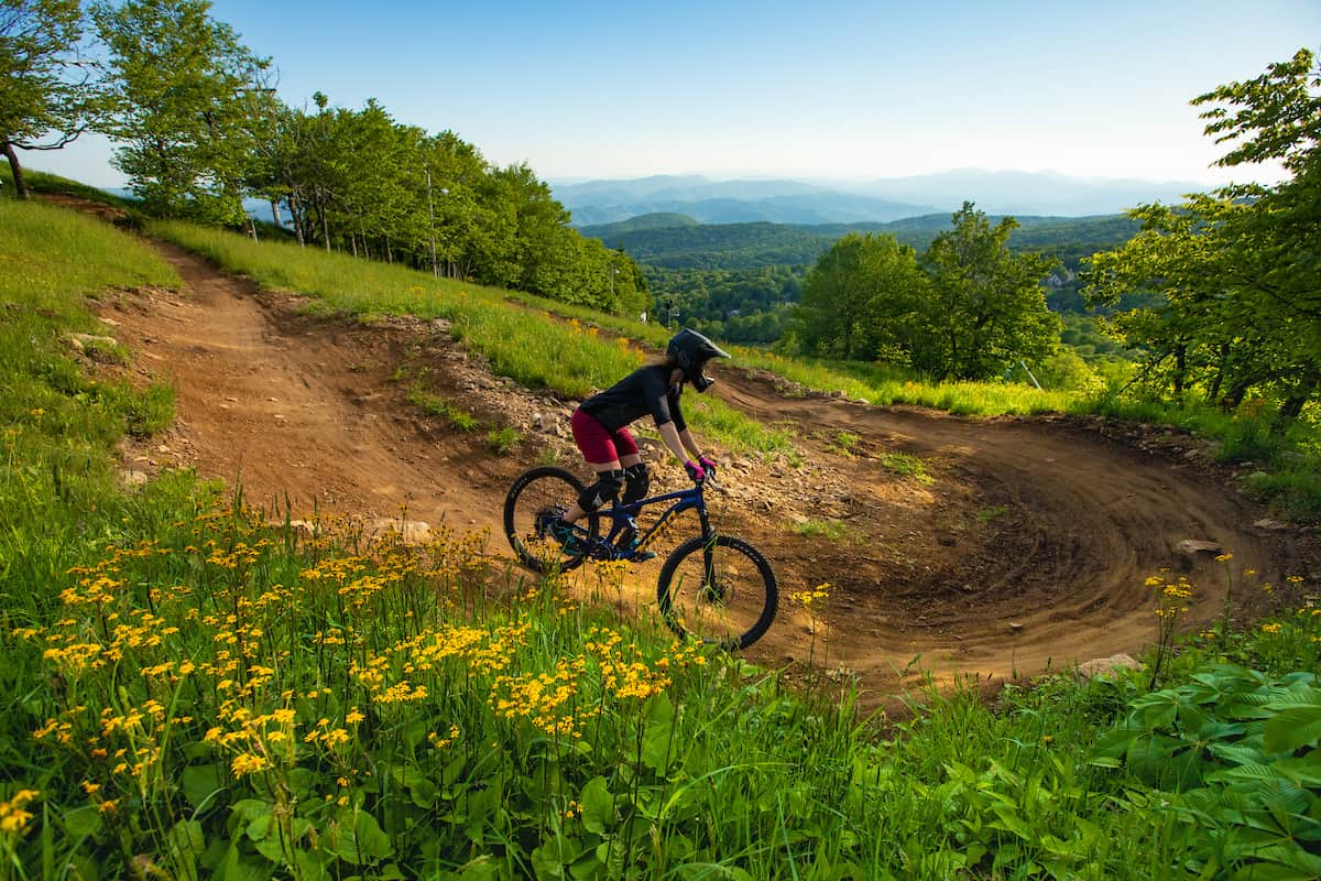 Picture of a biker on the path surrounded by yellow flowers, green grass, and blue skies